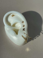 Leo earrings - five and two jewelry